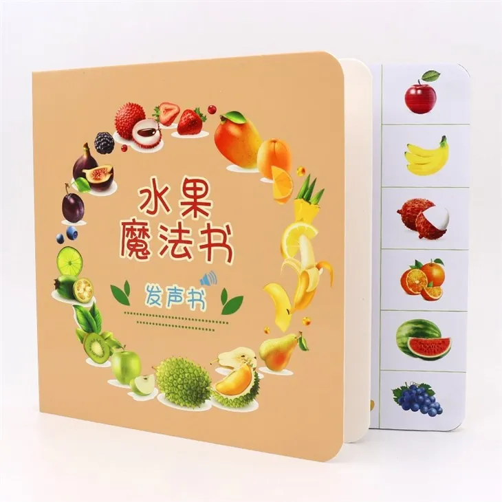 First Sound Voice Recording Sound Book For Kids